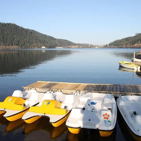 Pretty Nest In The Center *