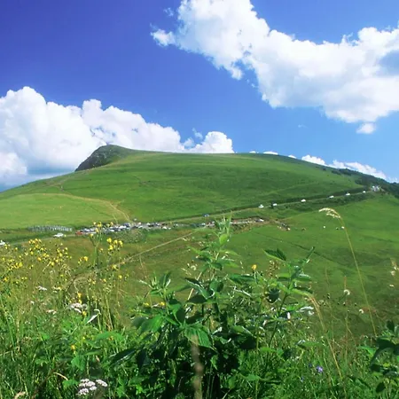 Pretty Nest In The Center Apartmán