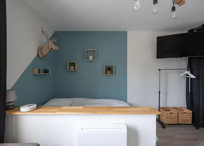 Pretty Nest In The Center