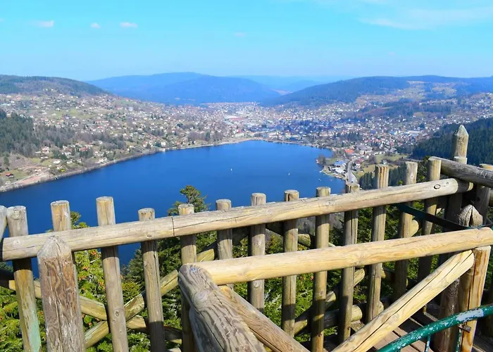 Pretty Nest In The Center * Gérardmer