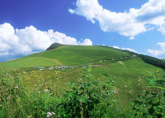 Pretty Nest In The Center Appartement