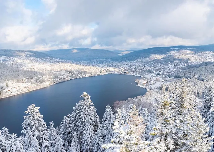 Pretty Nest In The Center